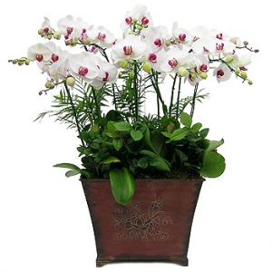 �󼼳��뺸��