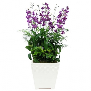 �󼼳��뺸��