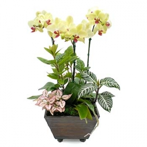 �󼼳��뺸��