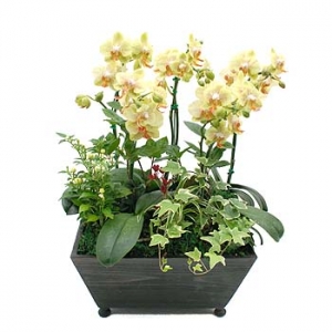 �󼼳��뺸��