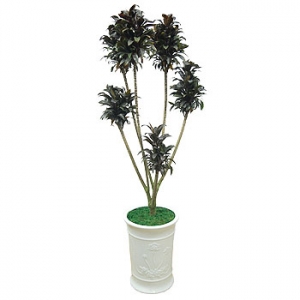 �󼼳��뺸��