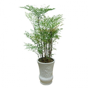 �󼼳��뺸��