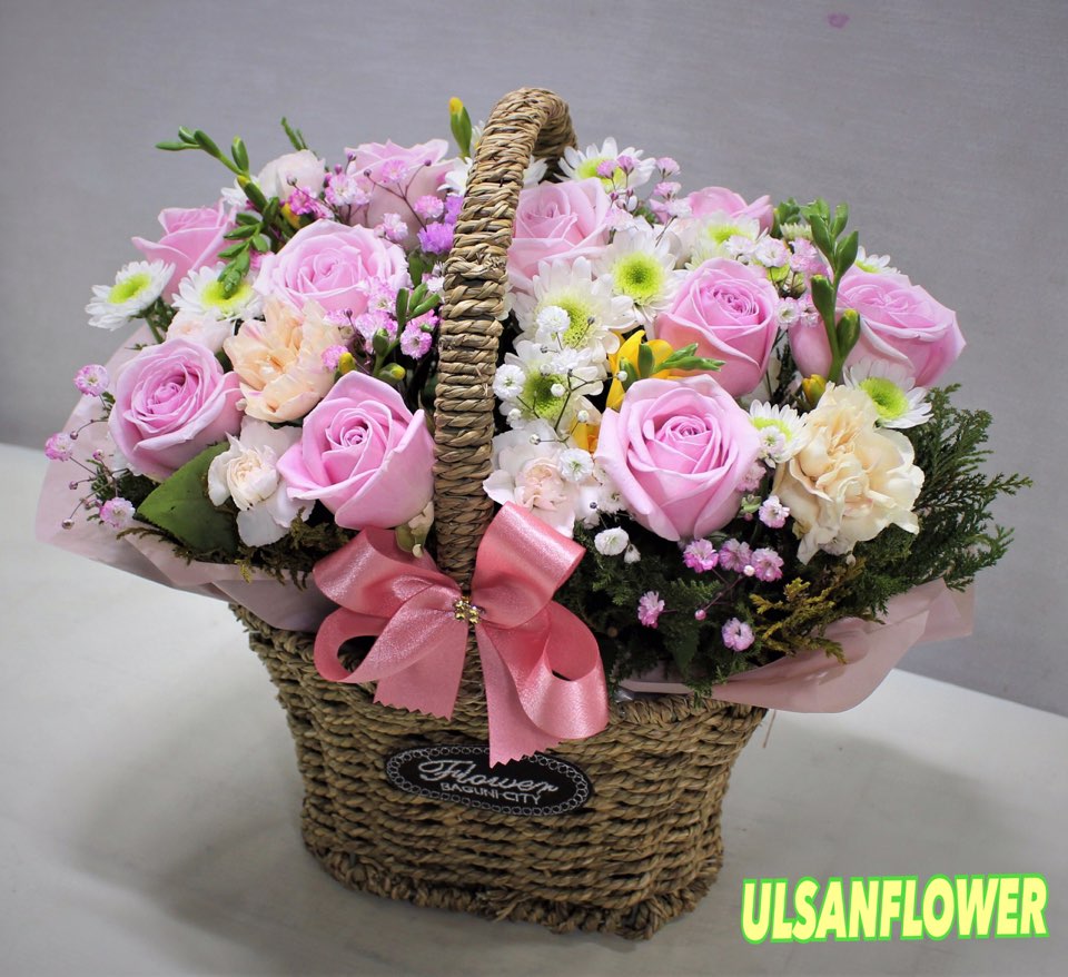 �󼼳��뺸��