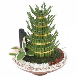 �󼼳��뺸��