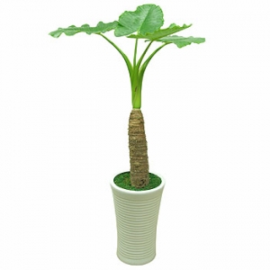 �󼼳��뺸��