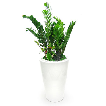 �󼼳��뺸��