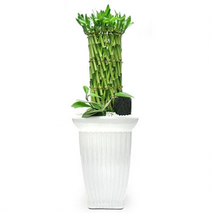 �󼼳��뺸��