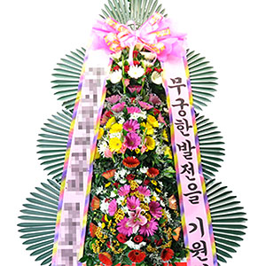 �󼼳��뺸��