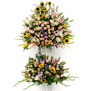 �󼼳��뺸��