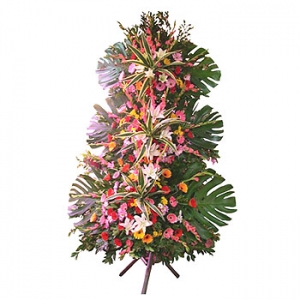 �󼼳��뺸��