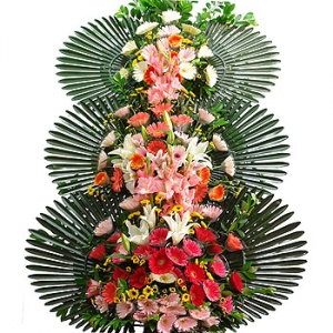 �󼼳��뺸��