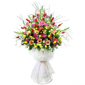 �󼼳��뺸��