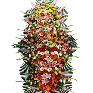 �󼼳��뺸��