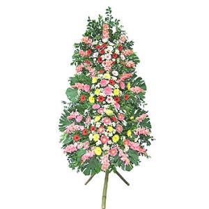 �󼼳��뺸��