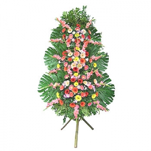 �󼼳��뺸��