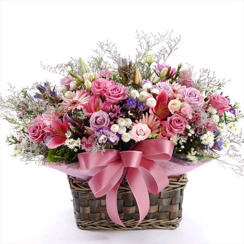 �󼼳��뺸��