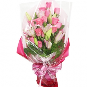 �󼼳��뺸��