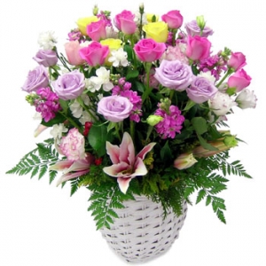 �󼼳��뺸��