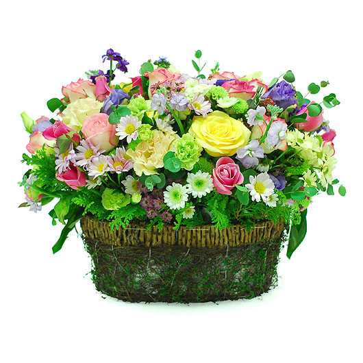 �󼼳��뺸��