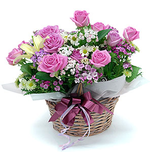 �󼼳��뺸��