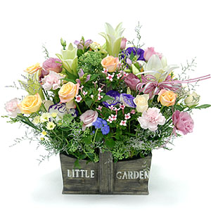 �󼼳��뺸��