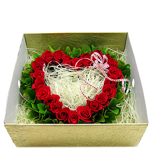 �󼼳��뺸��