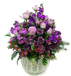 �󼼳��뺸��