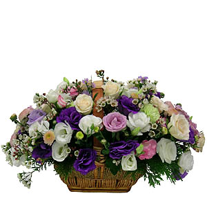 �󼼳��뺸��