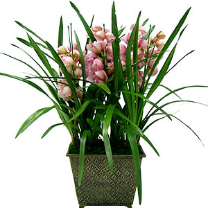 �󼼳��뺸��