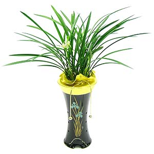 �󼼳��뺸��