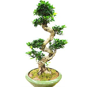 �󼼳��뺸��