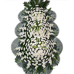 �󼼳��뺸��