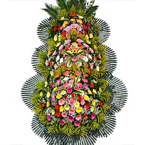 �󼼳��뺸��