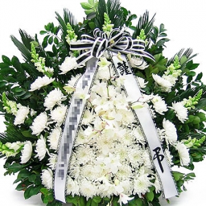 �󼼳��뺸��