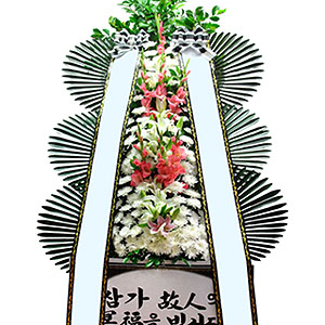 �󼼳��뺸��