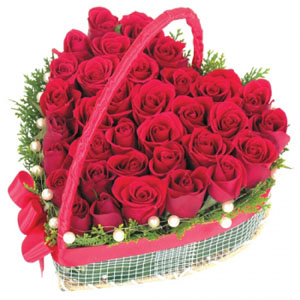 �󼼳��뺸��